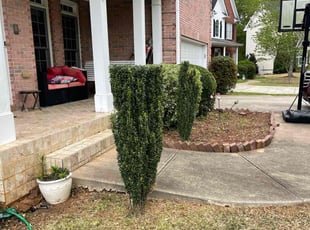 Weeding by Jason Calhoun for Jeremy M. in Newnan, GA