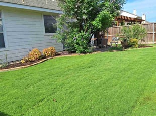 Israel E.'s Lawn Mowing service result