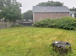 Dennis S.'s Grass Cutting service result