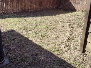 Leaf Removal by Devonn Ford for Kenji J. in Fort Worth, TX