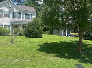 Erica S.'s Lawn Mowing service result