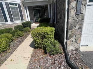 Bush Trimming by Tim McCullough for Stephanie J. in Upper Marlboro, MD