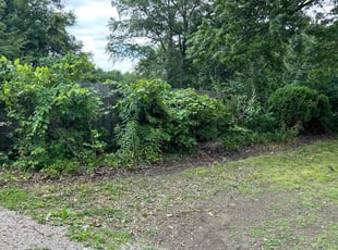Bush Trimming by Breiona Golden for Xochilt M. in Columbus, OH