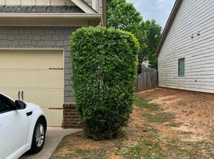Bush Trimming by Matthew Smith for Tony S. in Acworth, GA