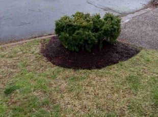 Mulching by Robert Fitzgerald II for Tara P. in Nashville, TN