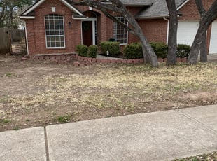 Leaf Removal by Fred Rodriguez for Peter H. in Austin, TX
