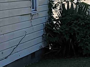 Bush Trimming by Shantel Hall for Raychel Y. in Norfolk, VA