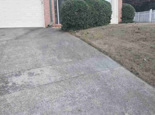 Bush Trimming by Joshua Walker for Katherine F. in Decatur, GA