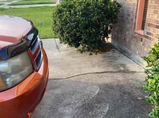 Bush Trimming by Gary Allen for Anthony F. in Harvey, LA