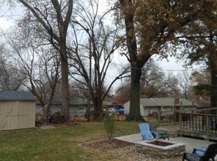 Leaf Removal by James Buchanan for Allison F. in Raytown, MO