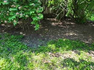 Weeding by David Estrada for Erik T. in Naperville, IL