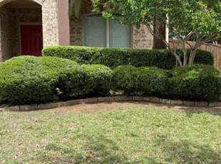 Bush Trimming by Joshua Coleman for Tamika C. in Fort Worth, TX