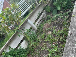 Bush Trimming by Jaquayla Gilmore for Gidget W. in Pittsburgh, PA