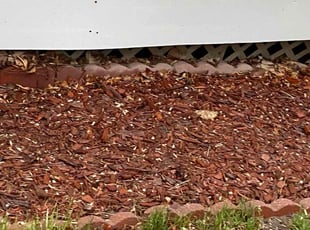 Weeding by Sandra Fales for Desiree W. in Colorado Springs, CO