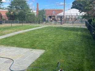 Marc W.'s Yard Cutting service result