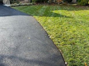 Leaf Removal by Donald Burrill for Robert H. in Sterling, VA
