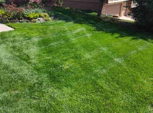 Toni E.'s Lawn Service service result