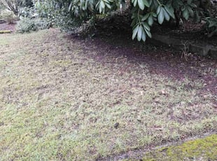 Cleanups by Paul Espinoza for Hunter C. in Bellevue, WA
