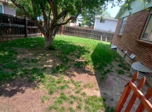 Cleanups by Jacques Chauvin for Athina H. in Westminster, CO
