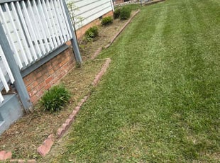 Bush Trimming by Davon Lightfoot for Tia F. in Richmond, VA