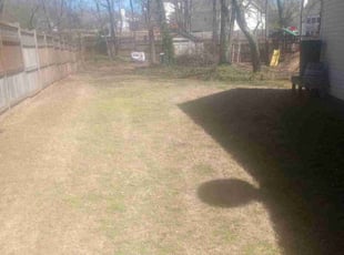 Leaf Removal by Josh Scanlan for David O. in Mauldin, SC