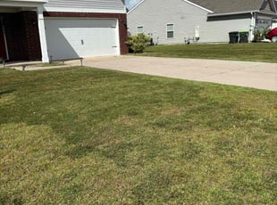 Joanne Z.'s Lawn Mowing Service service result