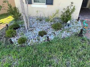 Weeding by William Harvey for Dianna S. in Davenport, FL