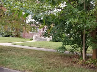 Bush Trimming by Adrian Johnson for Allan B. in Center Line, MI