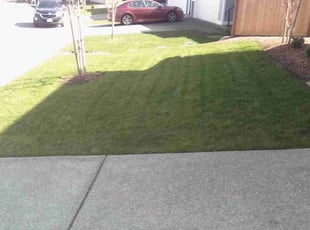 Janis R.'s Grass Cutting service result