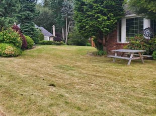 Cleanups by Dominique Ford for Mansi S. in Bellevue, WA
