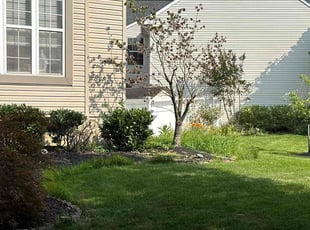 Bush Trimming by Ted Reimel for Sean T. in Evesham, NJ