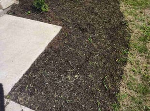 Weeding by Thomas Rodriguez for Macy N. in Kyle, TX