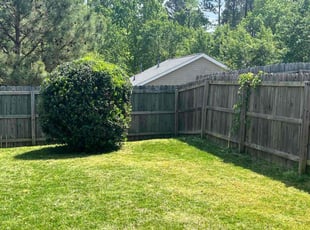 Bush Trimming by Caitlin Hough for Nina P. in Durham, NC