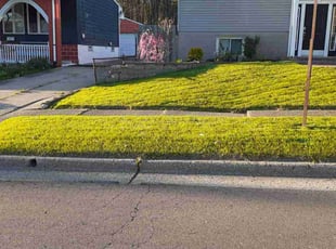Kathy V.'s Lawn Mowing service result