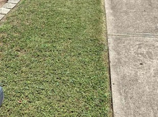 Tamara R.'s Lawn Care service result