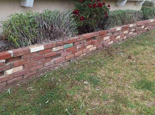 Bush Trimming by Juan Gomez for UNEKI B. in Los Angeles, CA