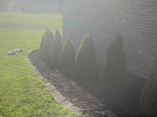 Mulching by Tywuan Williams for Tyler B. in Indianapolis, IN