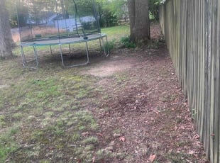 Leaf Removal by Dimas Lopez for Shaunte G. in Laurel, MD