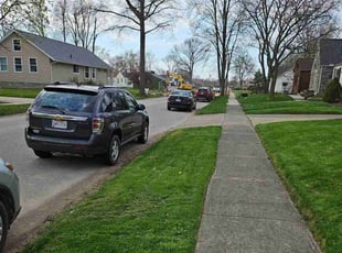 Bush Trimming by Ryan Hoepf for Jim M. in Elyria, OH