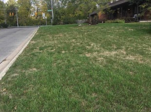 Leaf Removal by Lamont Howard for andre c. in Columbus, OH