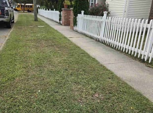 Brandon J.'s Lawn Mowing Service service result