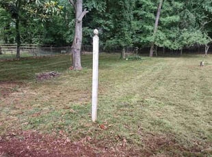 Cleanups by Michael Cherry for Iesha C. in Charlotte, NC