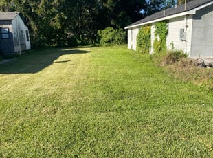 Markia T.'s Yard Cutting service result