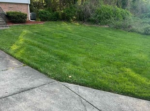 Kristy P.'s Lawn Service service result