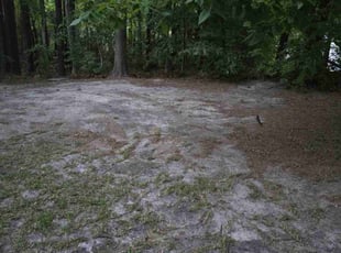 Leaf Removal by Valecia Thompson for Sonya P. in Fayetteville, NC