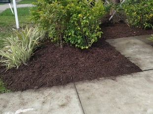 Mulching by Michael Johnson for Alexander R. in Apollo Beach, FL