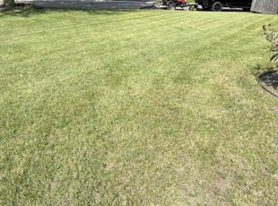 Steve P.'s Yard Cutting service result