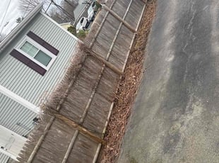Leaf Removal by Vasawn Miller for Sara W. in Braintree, MA
