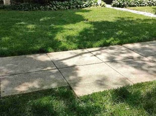 Brenda L.'s Yard Cutting service result