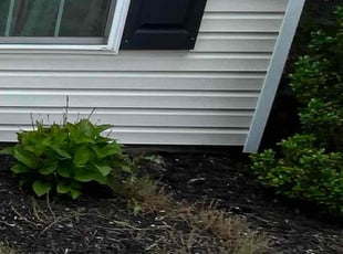 Cleanups by Mathew Benham for Meng S. in Warners, NY